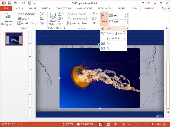 how-to-crop-a-picture-in-powerpoint-2013