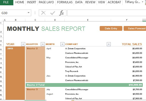 update sample report sales monthly sales report  for FPPT sales and  forecasting