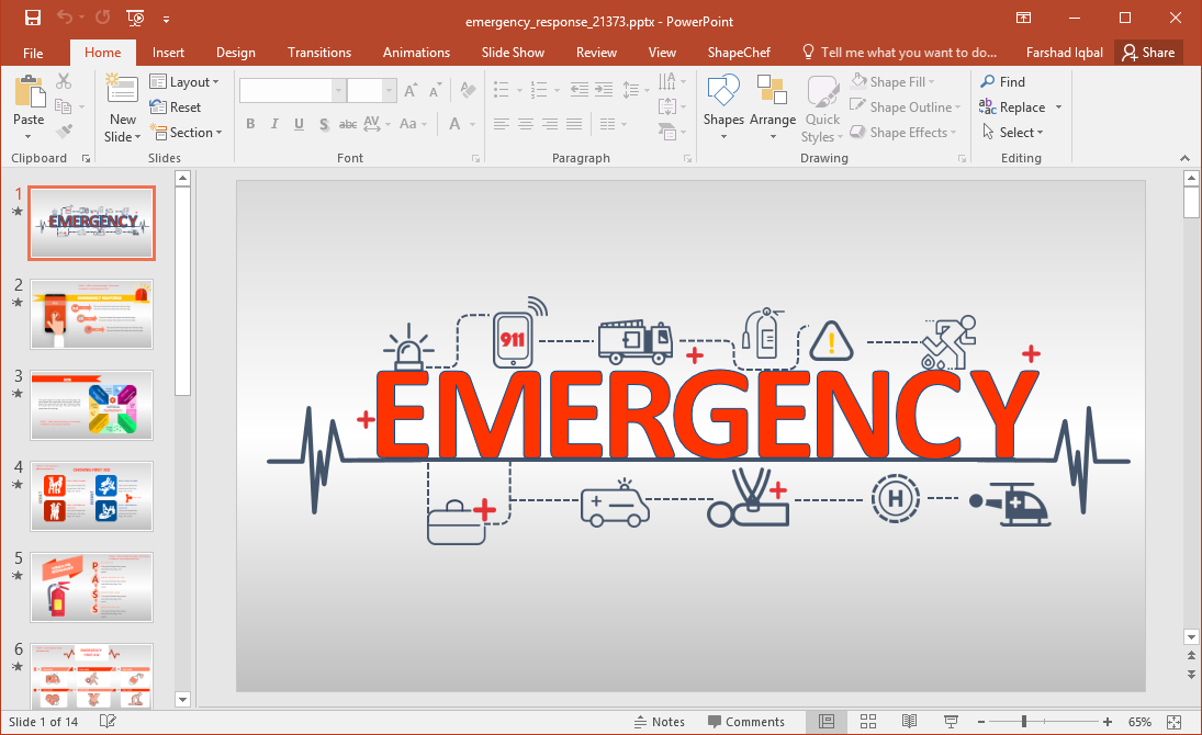 emergency-care-programs-new-york-emergency-plan-format
