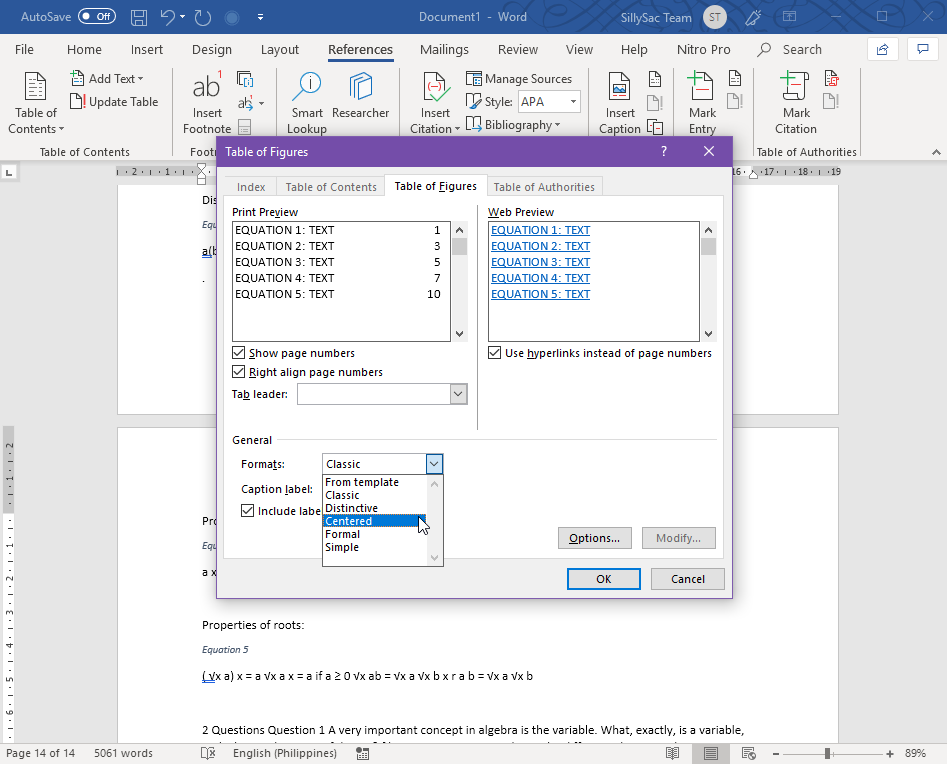 Customize Table of Equations Format