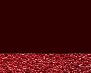 Free Blood cells PowerPoint template