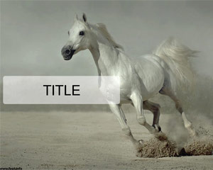 White horse running Powerpoint Template