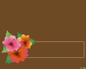 Hibiscus Flower Powerpoint