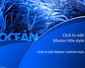 PPT - Cool Ocean Stuff! PowerPoint Presentation, free download - ID:3369323